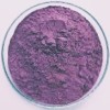 Cranberry Extract Manufacturers